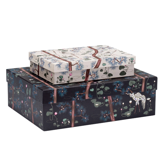 Iittala Taika säilytyslaatikko, 2 kpl, 15v juhlavuosi